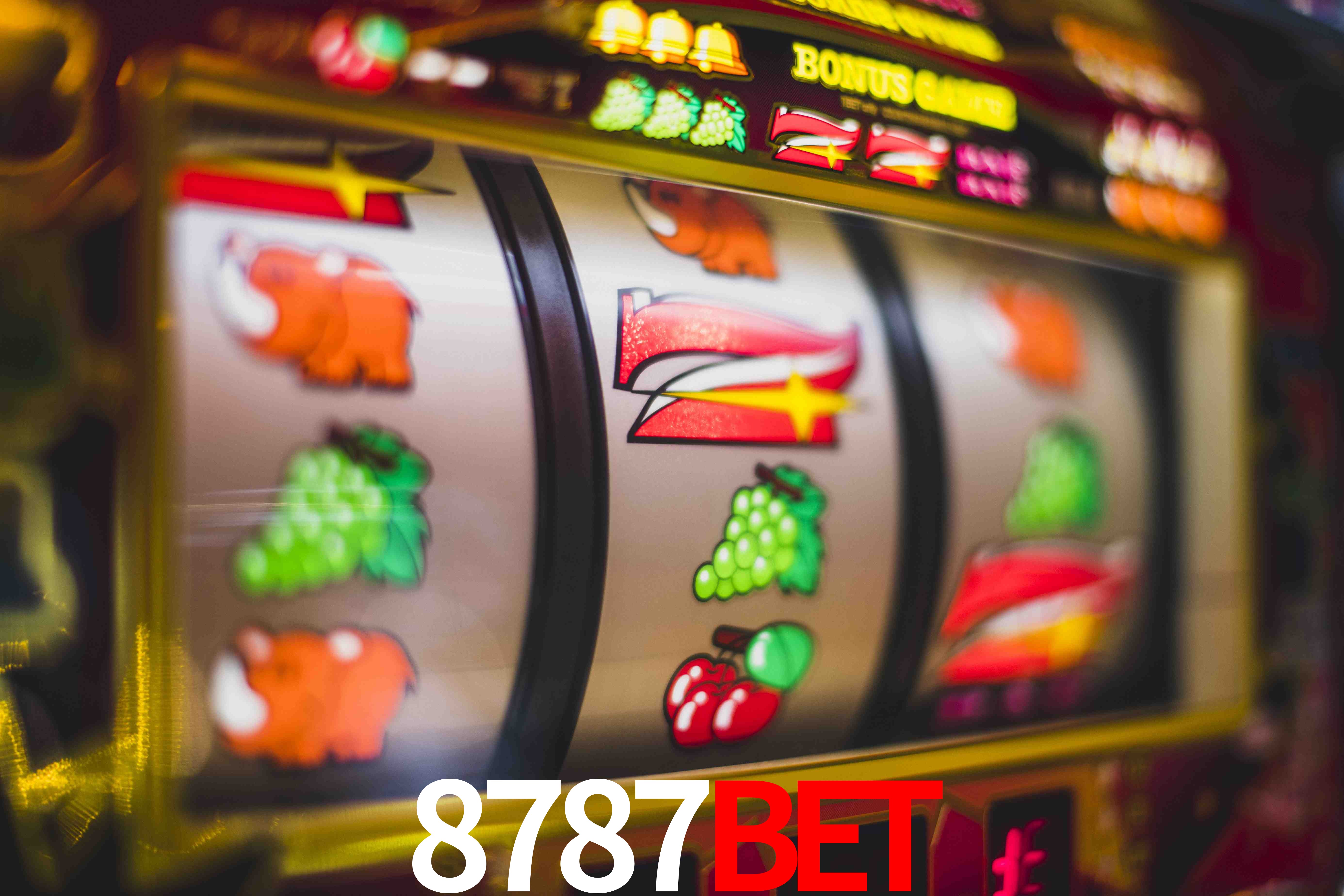 Basketball Betting 8787bet